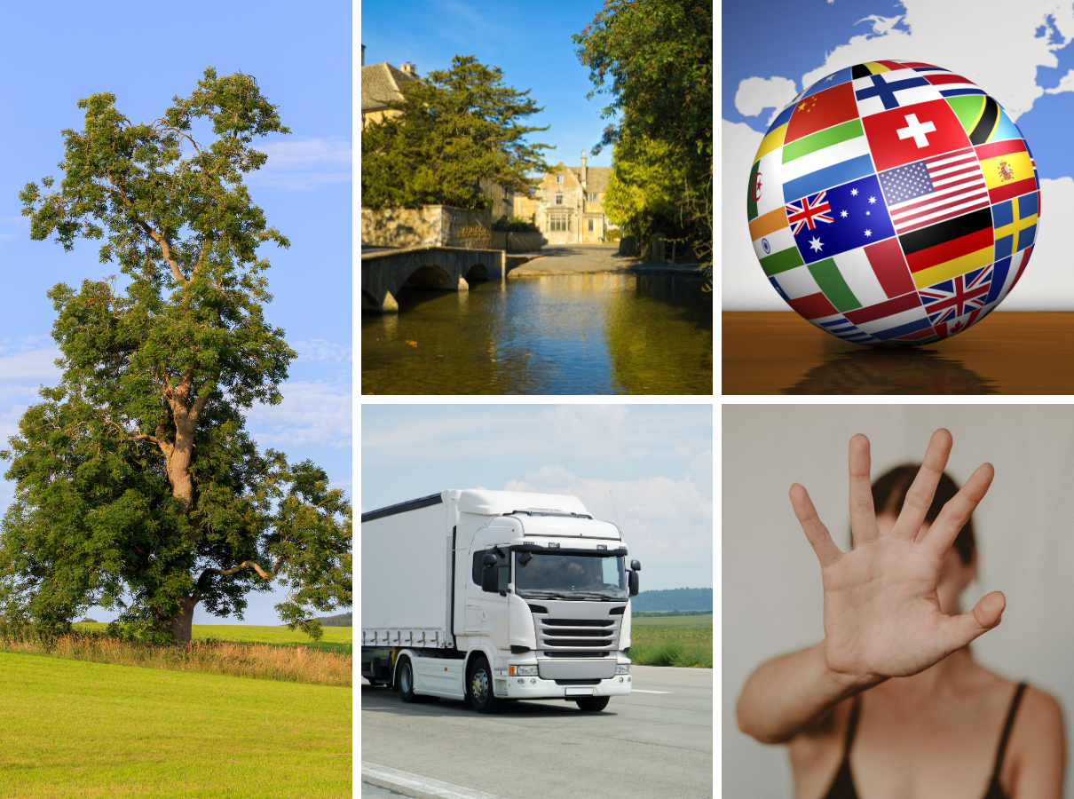 The Maxim Christmas Quiz - Question 5